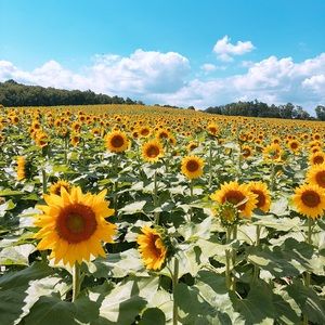 Meet your Posher, Min